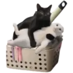 Sticker black-cat wp-image-61596