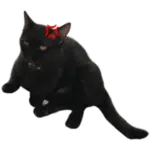 Sticker black-cat wp-image-61597