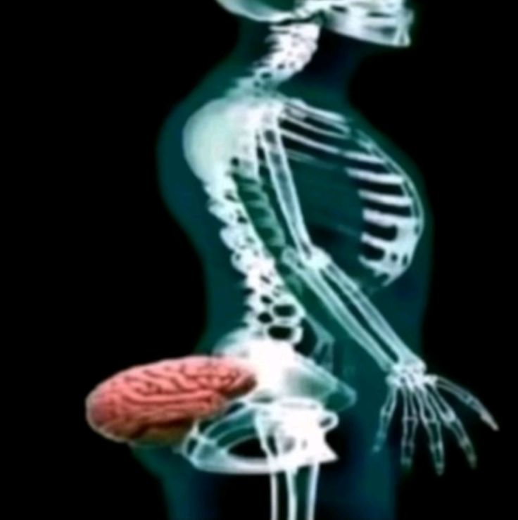 Sticker 111256 wp-image-111240