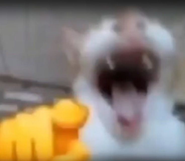 Sticker genel-paket-2 wp-image-111323